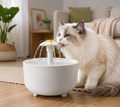 Pets Water Fountain Auto Filter